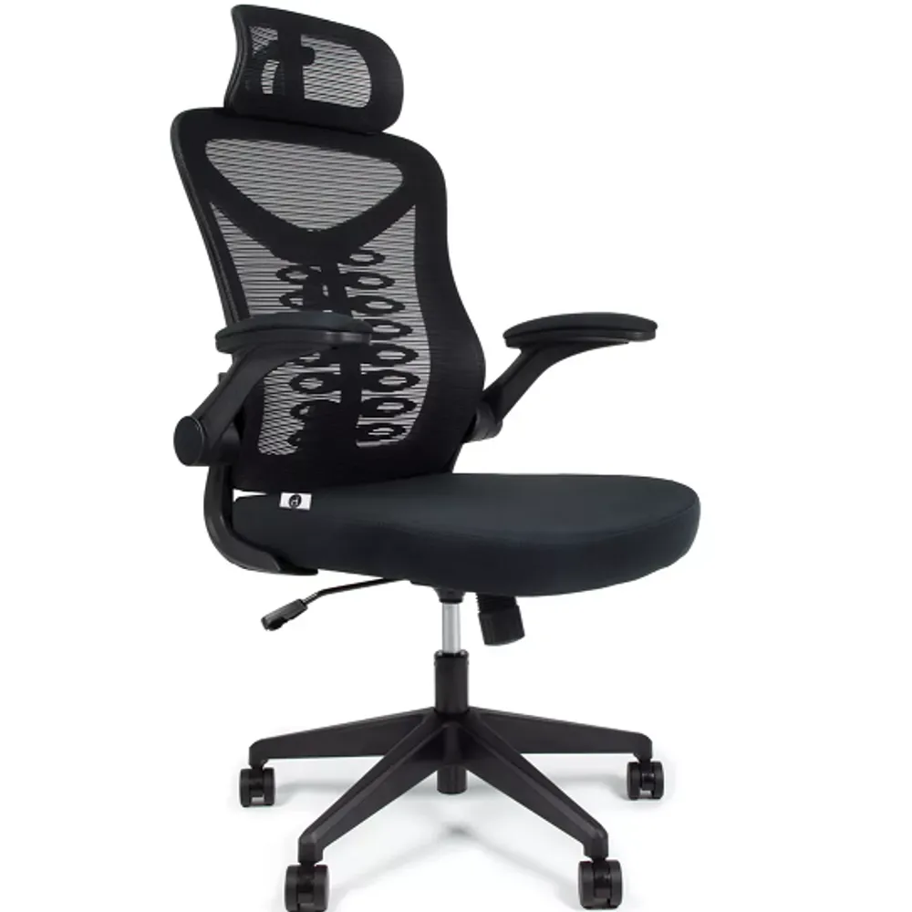 Cadeira Escritório Ergonômica Mesh Ajuste Lombar Gogo Go200 Cor Preto