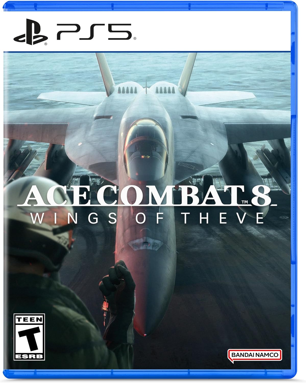 Ace Combat 8 Wings Of Theve - PS5